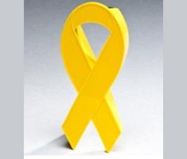 Solar Panel LED Ribbon Light